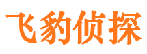 洪洞市私家侦探